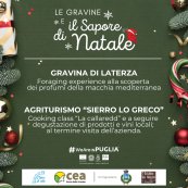 matera events image