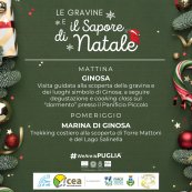 matera events image